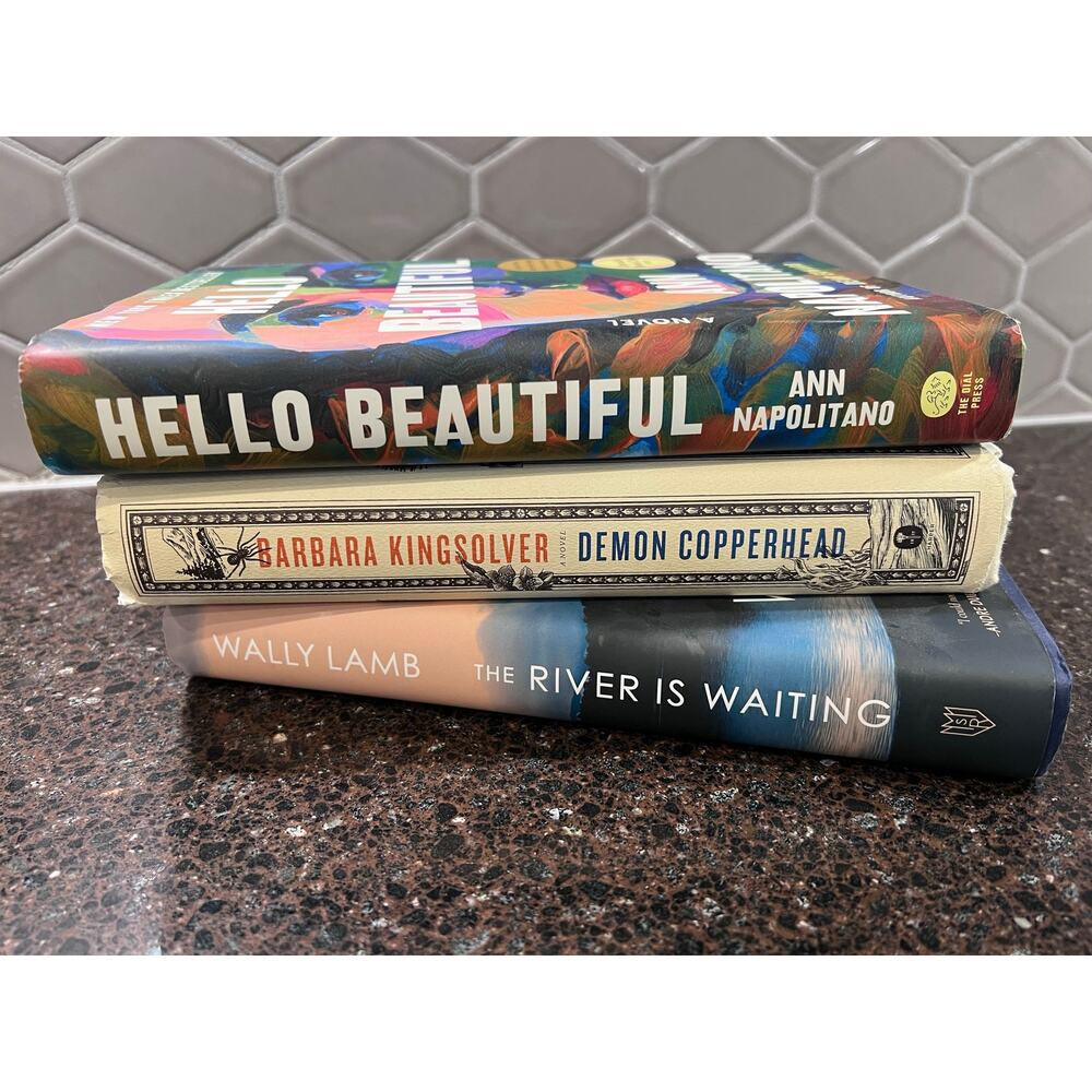 Summer Book Lot Hello Beautiful, River is Waiting, Demon Copperhead Hardcover